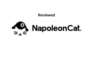 Read more about the article NapoleonCat Review: Features, Pricing, Pros and Cons