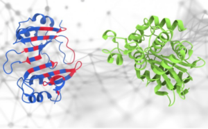 Read more about the article AI Tool Reveals How Proteins Act in Different Environments