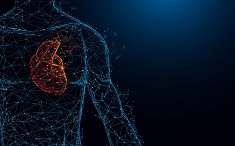 Read more about the article AI Tool Spots Hidden Heart Attack Risks