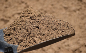 Read more about the article New Tool Analyzes Sand Grains to Uncover Earth’s History