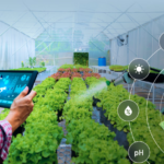 AI and New Farming Methods Key to Growing More Food