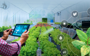 Read more about the article AI and New Farming Methods Key to Growing More Food