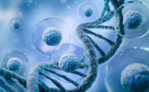 Read more about the article AI Tool Predicts Gene Activity in Human Cells