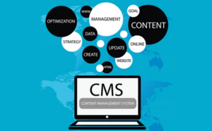 Read more about the article 6 Best CMS for Social Media Businesses in 2025