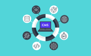 Read more about the article 13 Steps for Selecting the Right CMS for Social Media