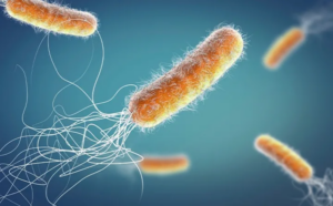 Read more about the article AI Solves Superbug Mystery in 48 Hours, Shocks Scientists