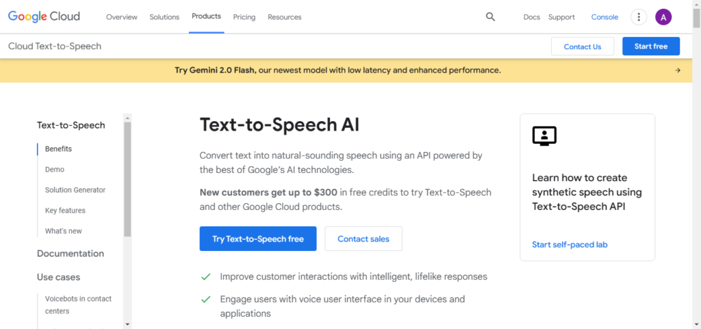 Google Cloud Text-to-Speech