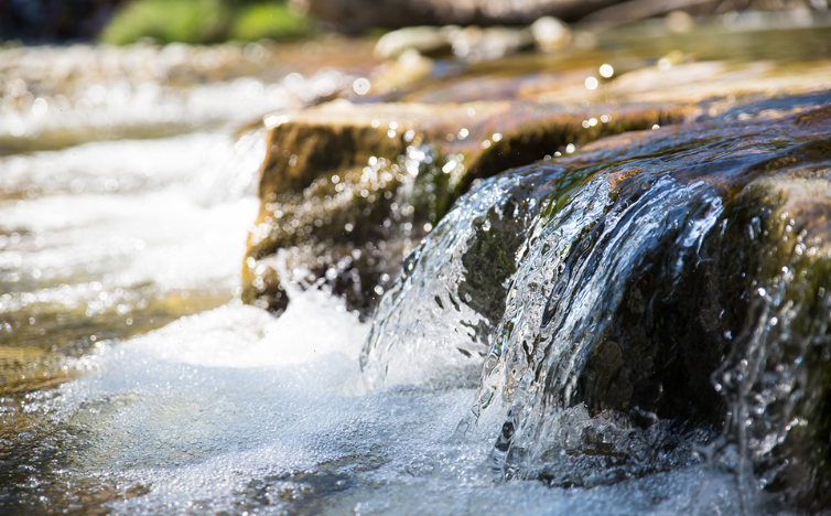 Read more about the article New AI Tool Predicts Water Quality Across the US