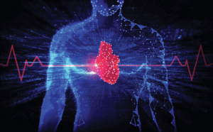 Read more about the article AI Now Gives Clearer Risk Score for Heart Muscle Disease