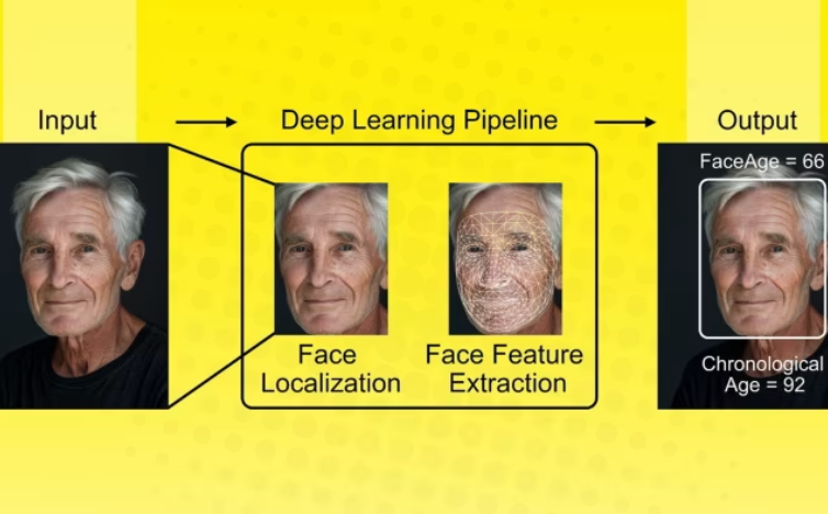 You are currently viewing AI Tool Uses Face Photos to Predict Age and Cancer Outcomes